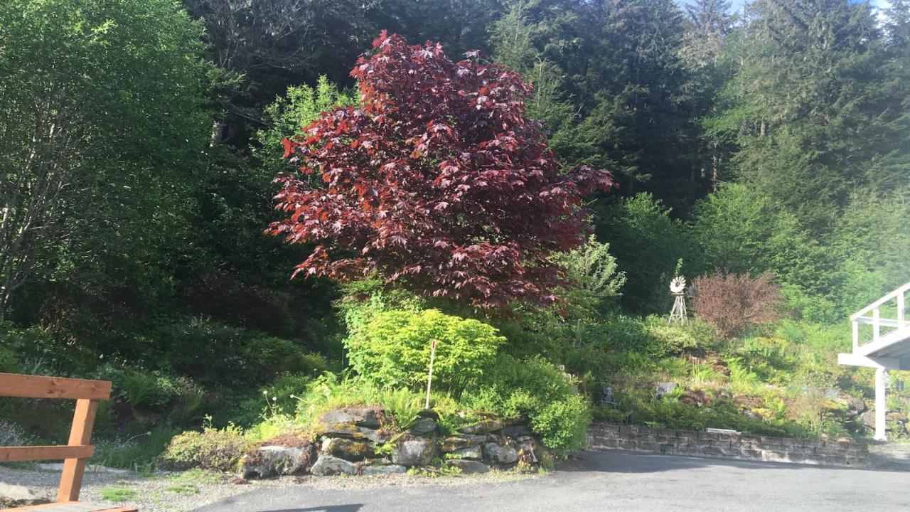 Kelli Creek Cottage - Reduced Price On Tours 주노 외부 사진