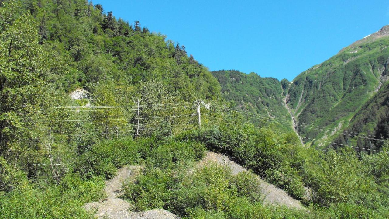 Kelli Creek Cottage - Reduced Price On Tours 주노 외부 사진